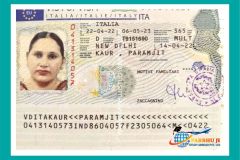 visa1