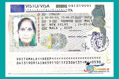 visa10