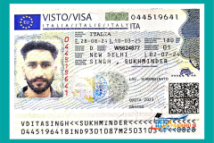 visa104