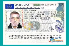 visa13