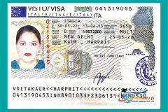 visa14