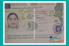 visa15