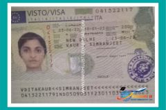 visa17