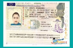 visa2