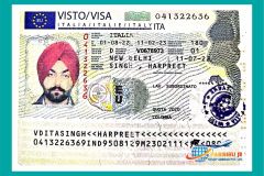 visa20