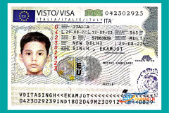 visa27