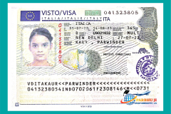 visa28