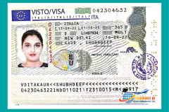 visa29