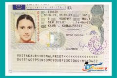 visa3