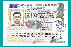 visa30