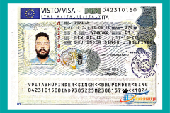 visa31