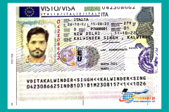 visa33