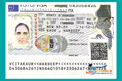 visa36