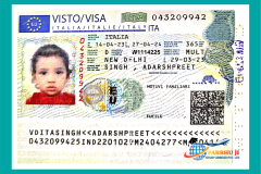 visa40