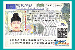 visa41