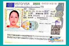 visa42