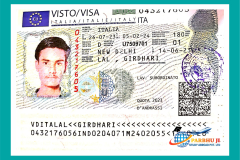 visa43