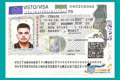 visa44