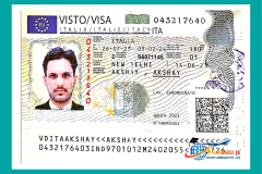 visa46