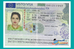 visa56