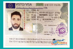 visa59