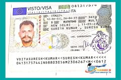 visa6