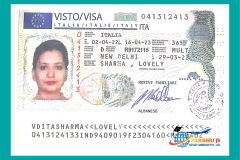 visa60