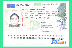 visa61