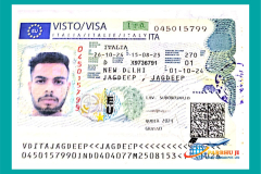 visa66