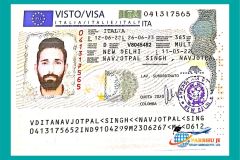 visa8