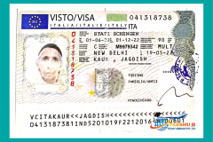 visa80