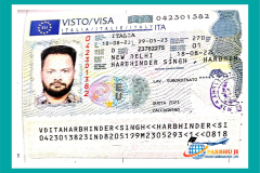 visa87